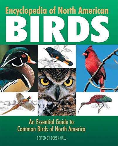 Stock image for Encyclopedia of North American Birds : An Essential Guide to Common Birds of North America for sale by Better World Books