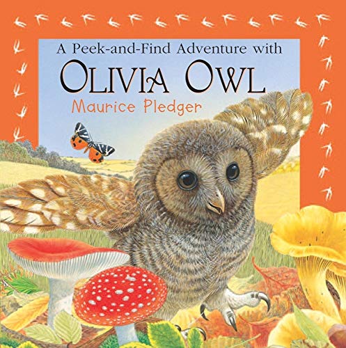 Imagen de archivo de A Peek-and-Find Adventure with Olivia Owl (Maurice Pledger Peek and Find) a la venta por SecondSale