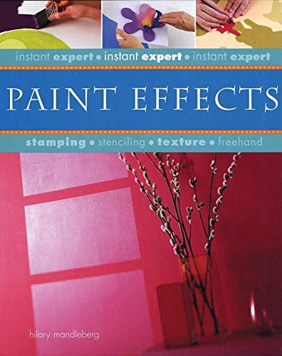 Imagen de archivo de Paint Effects a la venta por Better World Books