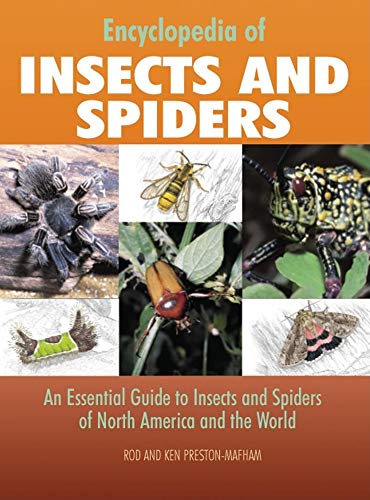 Beispielbild fr Encyclopedia of Insects And Spiders: An Essential Guide to Insects and Spiders of North America and the World zum Verkauf von HPB-Diamond