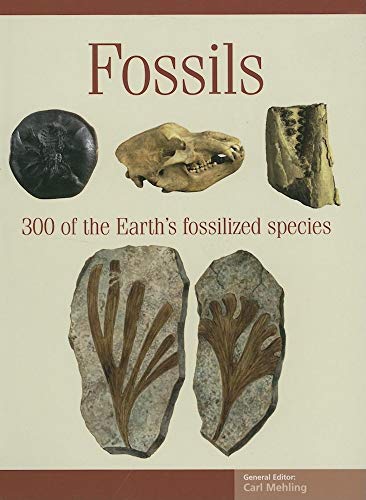 Beispielbild fr Fossils (Expert Guides) zum Verkauf von HPB-Ruby