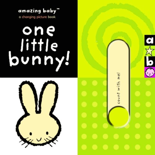 9781592237609: One Little Bunny!