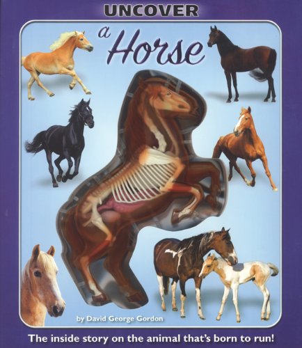 Stock image for Uncover a Horse (Uncover Books) for sale by Goodwill Southern California