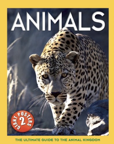 Beispielbild fr Animals (Ultimate Guide) zum Verkauf von SecondSale