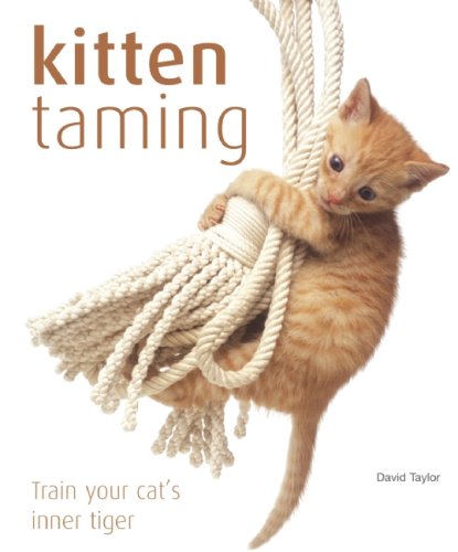 Beispielbild fr Kitten Taming: Train Your Cat's Inner Tiger zum Verkauf von Wonder Book