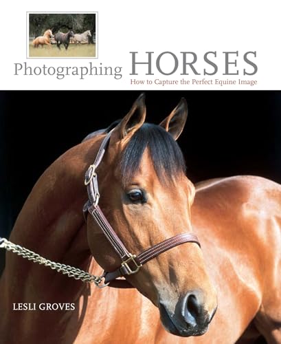 Photographing Horses: How to Capture the Perfect Equine Image