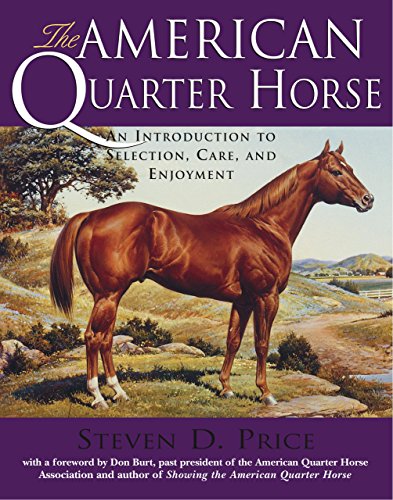Stock image for AMERICAN QUARTER HORSE: AN INTRODUCTION TO SELECTION, CARE, AND ENJOYMENT for sale by GLOVER'S BOOKERY, ABAA