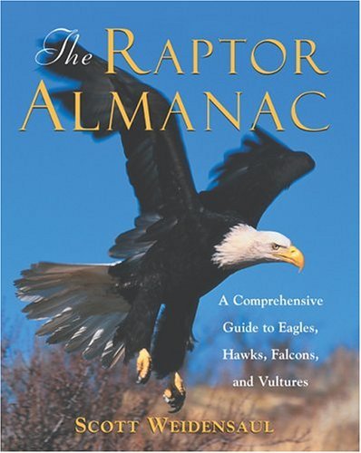 Stock image for The Raptor Almanac : A Comprehensive Guide to Eagles, Hawks, Falcons, and Vultures for sale by Better World Books