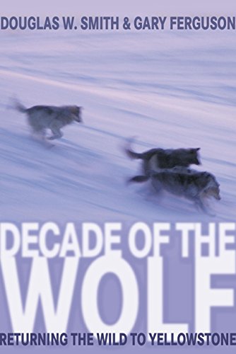 Beispielbild fr Decade of the Wolf: Returning The Wild To Yellowstone zum Verkauf von BooksRun