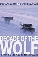 Stock image for Decade of the Wolf : Returning the Wild to Yellowstone for sale by Better World Books: West