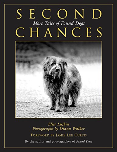 Stock image for Second Chances: More Tales of Found Dogs for sale by Your Online Bookstore