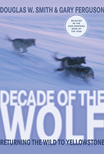 Beispielbild fr Decade of the Wolf: Returning the Wild to Yellowstone zum Verkauf von More Than Words