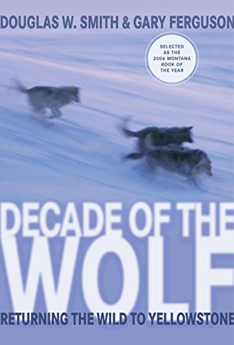 Imagen de archivo de Decade of the Wolf: Returning the Wild to Yellowstone a la venta por More Than Words