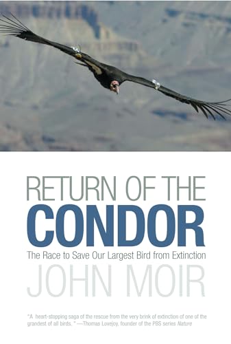 Beispielbild fr Return of the Condor : The Race to Save Our Largest Bird from Extinction zum Verkauf von Better World Books