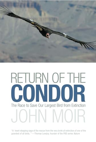 Stock image for Return of the Condor: The Race to Save Our Largest Bird from Extinction for sale by HPB Inc.