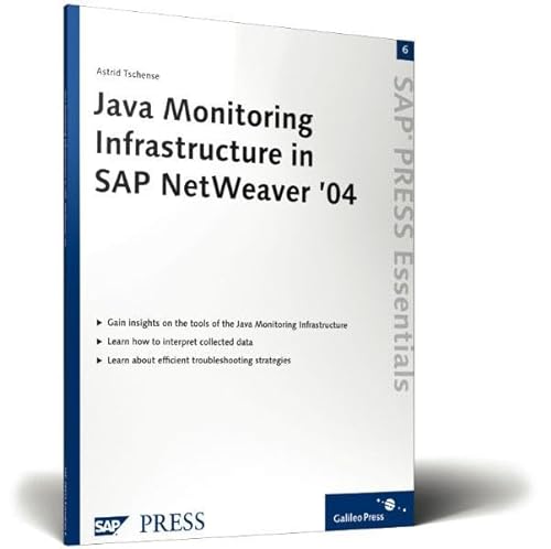 9781592290611: Java Monitoring Infrastructure in Sap Netweaver '04