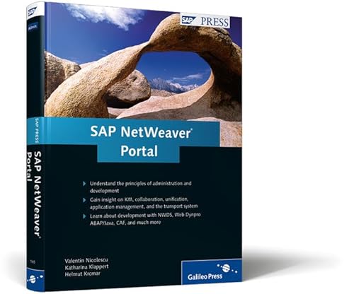 Stock image for SAP NetWeaver Portal for sale by The Book Spot