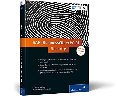 9781592294374: SAP BusinessObjects BI Security: Keep Your BOBJ Safe