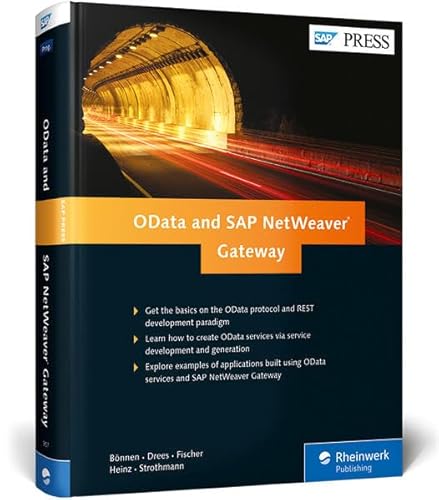 9781592299072: OData and SAP Netweaver Gateway