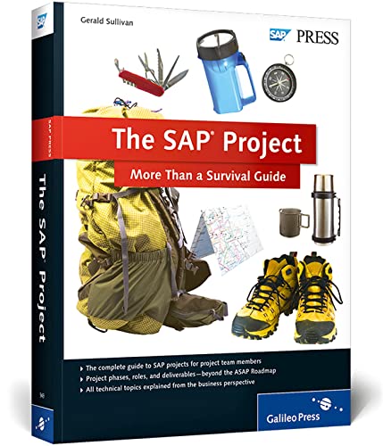 9781592299492: The SAP Project: More Than a Survival Guide