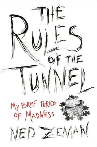 Stock image for The Rules of the Tunnel : A Brief Period of Madness for sale by Better World Books: West