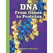 Stock image for DNA: From Genes to Proteins (Delta Science Readers) by Various (2006) Paperback for sale by SecondSale