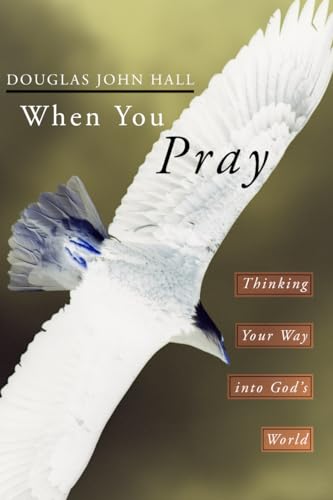 When You Pray: Thinking Your Way into God's World (9781592441785) by Hall, Douglas John