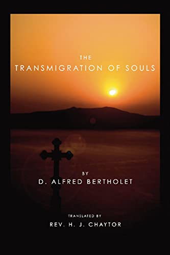 Stock image for Transmigration of Souls by Bertholet, Alfred for sale by MyLibraryMarket