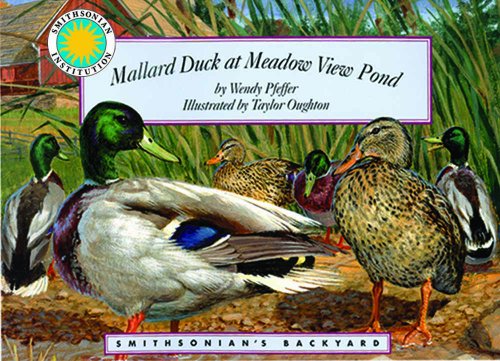 Mallard Duck Meadow View Pond (Smithsonians Backyard) (9781592490639) by Pfeffer, Wendy