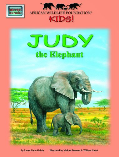 Imagen de archivo de Judy the Elephant a la venta por WorldofBooks