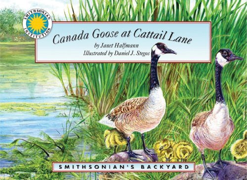 Canada Goose at Cattail Lane - a Smithsonian's Backyard Book (with audiobook cassette tape) (9781592494989) by Janet Halfmann