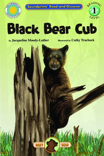 Stock image for Black Bear Cub for sale by Better World Books