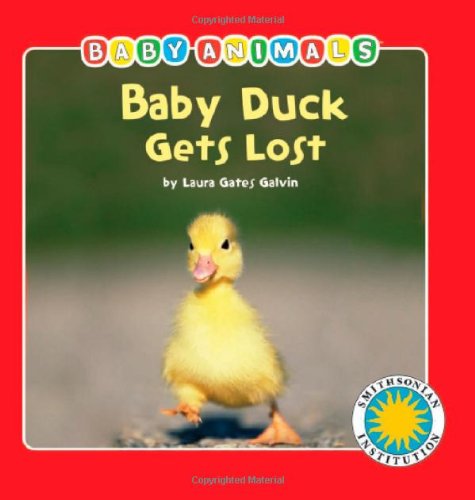 9781592497478: Baby Duck Gets Lost - a Smithsonian Baby Animals Book