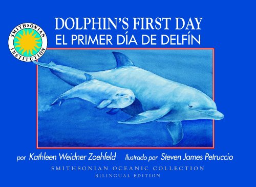 9781592498482: Dolphin's First Day/Primer dia del delfin (Smithsonian Oceanic Collection)