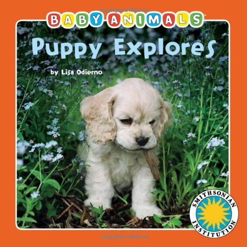 Imagen de archivo de Puppy Explores a la venta por Better World Books
