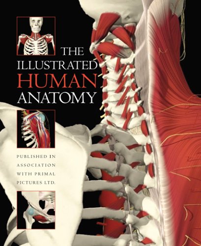 The Illustrated Human Anatomy (9781592582501) by Primal Pictures