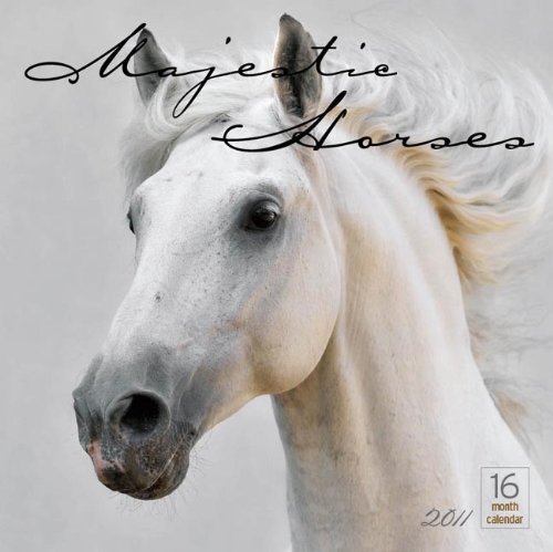 Beispielbild fr 2011 Majestic Horses Calendar zum Verkauf von Wonder Book