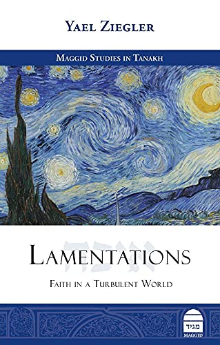 9781592645558: Lamentations: Faith in a Turbulent World