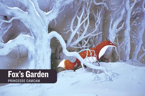 Stock image for Fox's Garden (Stories Without Words) for sale by AwesomeBooks