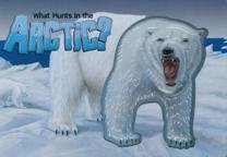 Stock image for What Hunts in the Arctic? for sale by HPB-Ruby