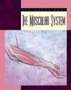 Beispielbild fr The Muscular System zum Verkauf von Better World Books