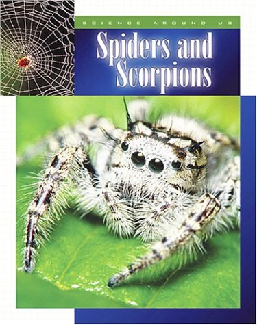 Beispielbild fr Spiders and Scorpions zum Verkauf von Better World Books