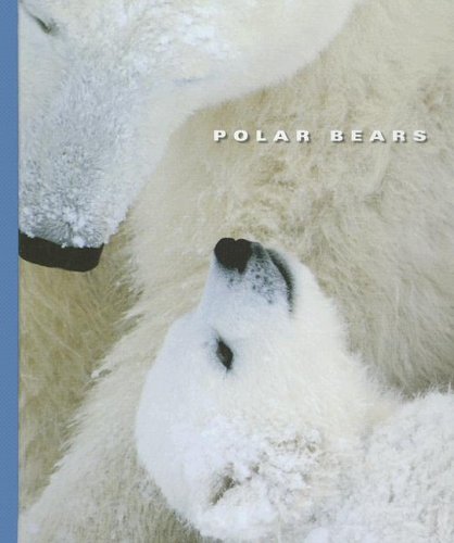 Beispielbild fr Polar Bears zum Verkauf von Better World Books