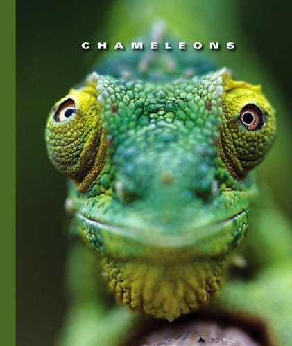Imagen de archivo de Chameleons a la venta por ThriftBooks-Atlanta