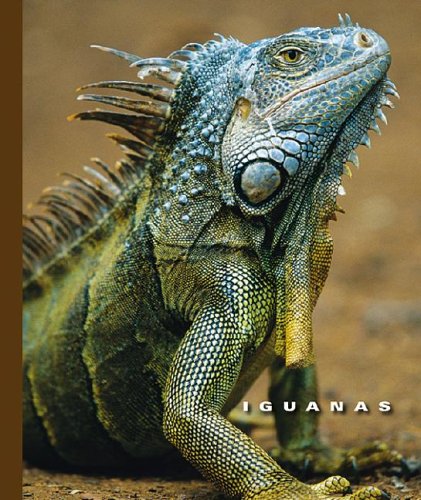 Stock image for Iguanas (The World of Reptiles, 1256) for sale by Ergodebooks