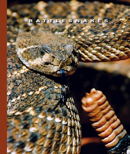 Imagen de archivo de Rattlesnakes a la venta por ThriftBooks-Dallas