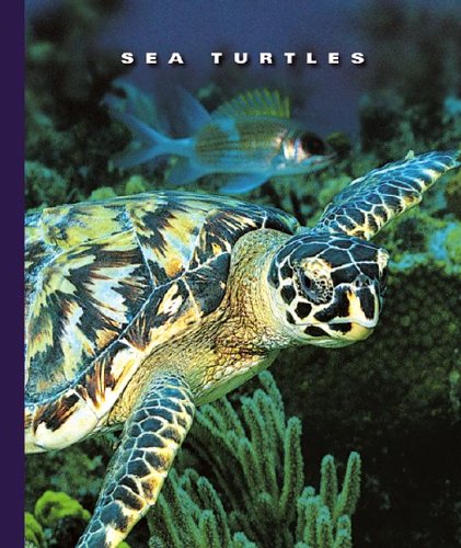 Imagen de archivo de Sea Turtles a la venta por Better World Books: West