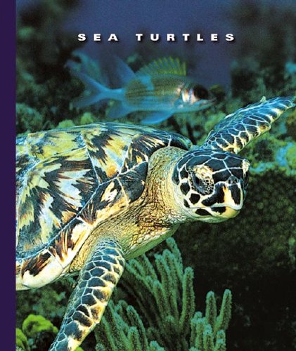 Stock image for Sea Turtles for sale by Better World Books: West