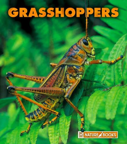 Stock image for Grasshoppers for sale by Better World Books