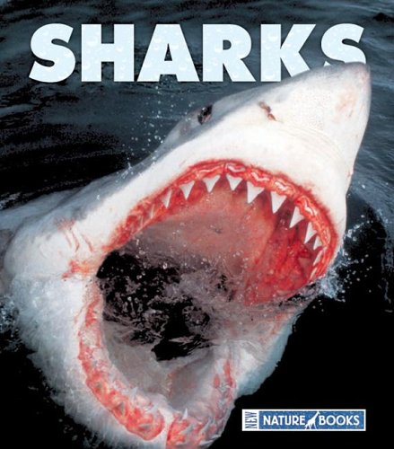 Stock image for Sharks for sale by ThriftBooks-Dallas